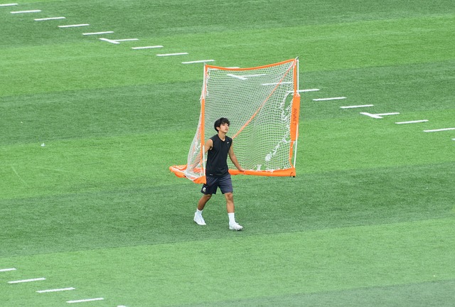 蒂基